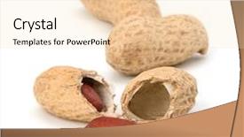  Presentation with peanut - Beautiful PPT theme featuring peanut isolated on white background backdrop and a lemonade colored foreground