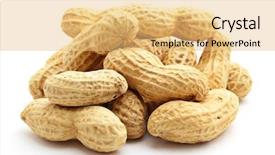  Presentation with peanut - Presentation theme enhanced with peanut on white background background and a yellow colored foreground