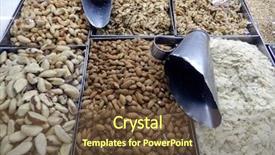  Presentation with amazon rainforest brazilian wetland - PPT theme consisting of peanut plant - brazilian chestnut showcase background and a tawny brown colored foreground