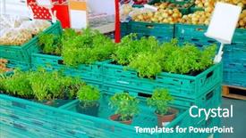  Presentation with peanut - Colorful slide deck enhanced with peanut plant - fresh vegetables at market backdrop and a teal colored foreground