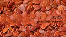  Presentation with peanut - Amazing PPT layouts having peanut plant - red watermelon seed backdrop and a red colored foreground