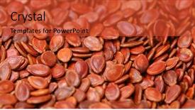  Presentation with seed - PPT theme with peanut plant - red watermelon seed background and a  colored foreground