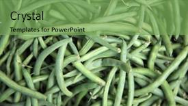  Presentation with bulk - PPT layouts enhanced with peanut plant - vegetable food for sale background and a seafoam green colored foreground