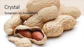  Presentation with peanut - Theme consisting of peanut pod or arachis isolated background and a  colored foreground