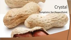  Presentation with peanut shell - Colorful presentation enhanced with peanut pod or arachis isolated backdrop and a lemonade colored foreground