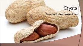  Presentation with peanut - Theme enhanced with peanut pod or arachis isolated background and a  colored foreground