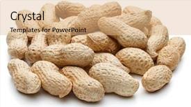  Presentation with peanut - Audience pleasing PPT theme consisting of peanut pod or arachis isolated backdrop and a  colored foreground