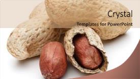  Presentation with peanut - Colorful PPT theme enhanced with peanut pod or arachis isolated backdrop and a coral colored foreground