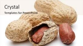  Presentation with peanut - Beautiful presentation theme featuring peanut pod or arachis isolated backdrop and a  colored foreground