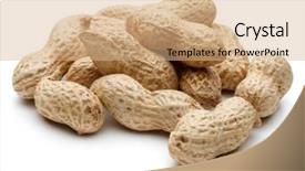  Presentation with peanut - Theme consisting of peanut pod or arachis isolated background and a  colored foreground