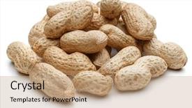 Presentation with peanut - Slide set consisting of peanut pod or arachis isolated background and a coral colored foreground