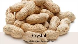  Presentation with peanut shell - Slide set having peanut pod or arachis isolated background and a  colored foreground