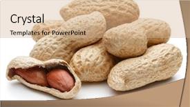  Presentation with peanut - Slide deck enhanced with peanut pod or arachis isolated background and a coral colored foreground
