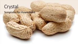  Presentation with history earth globe isolated white - Amazing slides having peanut pod or arachis isolated backdrop and a lemonade colored foreground