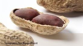  Presentation with peanuts - Cool new slides with peanuts-in-a-shell-close backdrop and a coral colored foreground