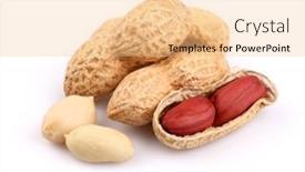  Presentation with peanuts - 