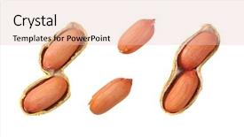  Presentation with shells - Presentation design featuring peanuts in open shells background and a lemonade colored foreground