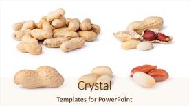  Presentation with peanuts - Colorful slides enhanced with peanuts isolated on a white backdrop and a lemonade colored foreground