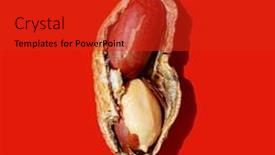  Presentation with peanuts - Slides having peanuts-on-a-red-background background and a red colored foreground