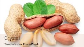  Presentation with peanuts - PPT theme with peanuts-whole-and-cracked-isolated background and a lemonade colored foreground