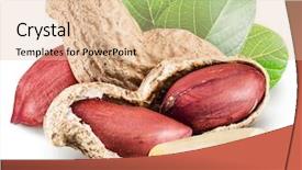  Presentation with peanut - Amazing presentation theme having peanuts with peanut leaves file backdrop and a lemonade colored foreground