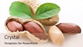  Presentation with peanut - Slides consisting of peanuts with peanut leaves isolated background and a coral colored foreground
