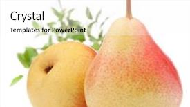  Presentation with pear - Colorful slide set enhanced with tongue - group of dogs on wood backdrop and a white colored foreground