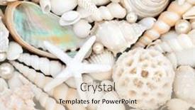  Presentation with nature design - PPT layouts having pearl-and-seashell-decorative-abstract background and a lemonade colored foreground