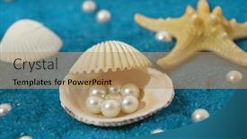  Presentation with shells - 