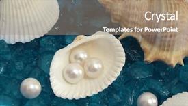  Presentation with shells - Amazing slides having pearl and shells backdrop and a coral colored foreground