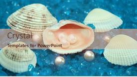  Presentation with pearl - 