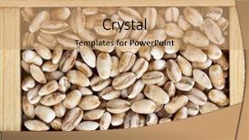  Presentation with pearl - Cool new PPT theme with pearl barley groat in wooden backdrop and a  colored foreground