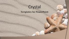  Presentation with seashells museum - PPT theme consisting of pearl border - frame with many different seashells background and a  colored foreground