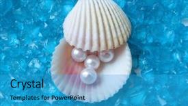  Presentation with treasure - Slide deck with pearl border - treasure from the sea background and a  colored foreground