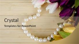  Presentation with cantonese opera dummy text - Cool new slides with pearl border - tulips flowers arranged with copyspace backdrop and a  colored foreground