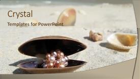  Presentation with pearl oyster - Colorful slides enhanced with pearl oyster - seashells on a beach backdrop and a soft green colored foreground