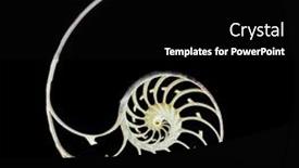  Presentation with black cross - Slide deck consisting of pearl-structure-nautilus-symmetry-cross background and a black colored foreground