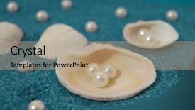  Presentation with pearls - PPT layouts featuring pearls and shells on blue background and a  colored foreground