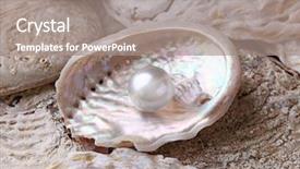  Presentation with pearl oyster - Cool new presentation design with pearls in a shell backdrop and a gray colored foreground