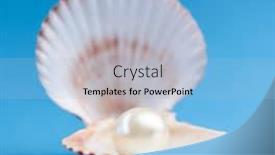  Presentation with pearls - Colorful slides enhanced with pearls on the blue background backdrop and a light blue colored foreground