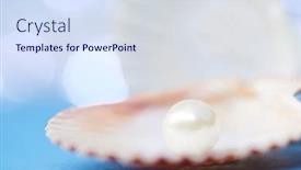  Presentation with pearls - Amazing slide set having pearls on the blue background backdrop and a sky blue colored foreground