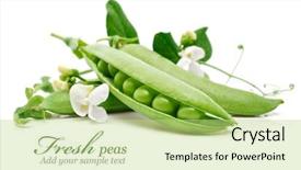  Presentation with white flowers - PPT theme featuring peas - fresh green pea background and a mint green colored foreground