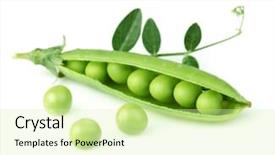  Presentation with green leaves - PPT theme enhanced with peas - green pea with leaves background and a soft green colored foreground