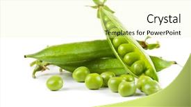  Presentation with green leaf - Amazing PPT layouts having peas - ripe pea vegetable with green backdrop and a blonde colored foreground