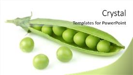  Presentation with sweet - Colorful theme enhanced with peas - sweet pea in closeup backdrop and a white colored foreground