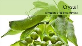  Presentation with white green - Cool new slide set with pease - fresh green pea backdrop and a yellow colored foreground