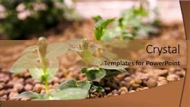  Presentation with genetic - Beautiful presentation featuring event management - clock face hands and calendar backdrop and a light blue colored foreground.