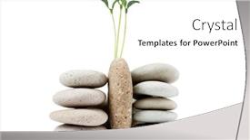  Presentation with alternative medicine - Beautiful presentation design featuring pebbles and seedlings - alternative medicine concept backdrop and a white colored foreground