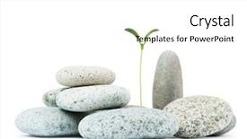  Presentation with alternative medicine - Beautiful PPT theme featuring pebbles and seedlings - alternative medicine concept backdrop and a white colored foreground