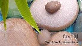 Presentation with water bamboo - Amazing presentation having pebbles-bamboo-leafs-water-drop backdrop and a coral colored foreground